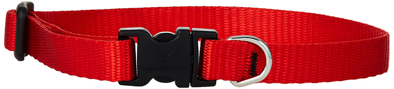 LupinePet Basics 1/2" Red 10-16" Adjustable Collar for Small Dogs 1/2" by 10"-16" Adjustable Collar - PawsPlanet Australia