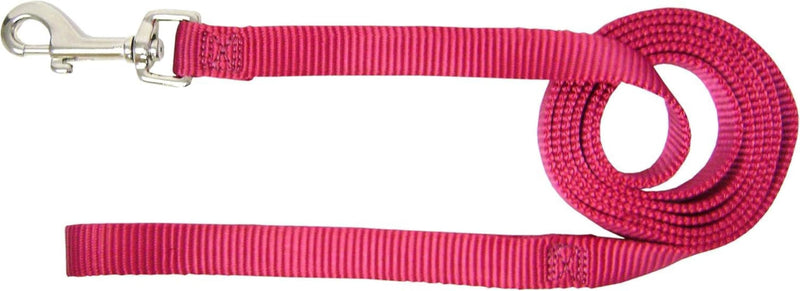 Hamilton Single Thick Deluxe Nylon Dog Leash with Swivel Snap, 3/8" by 6' Long, Raspberry - PawsPlanet Australia