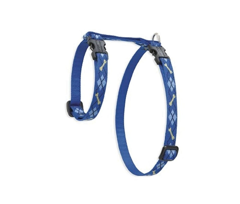 LupinePet Originals 1/2" Dapper Dog 12-20" H-style Harness for Small Pets 1/2"W; 12-20" Girth - PawsPlanet Australia