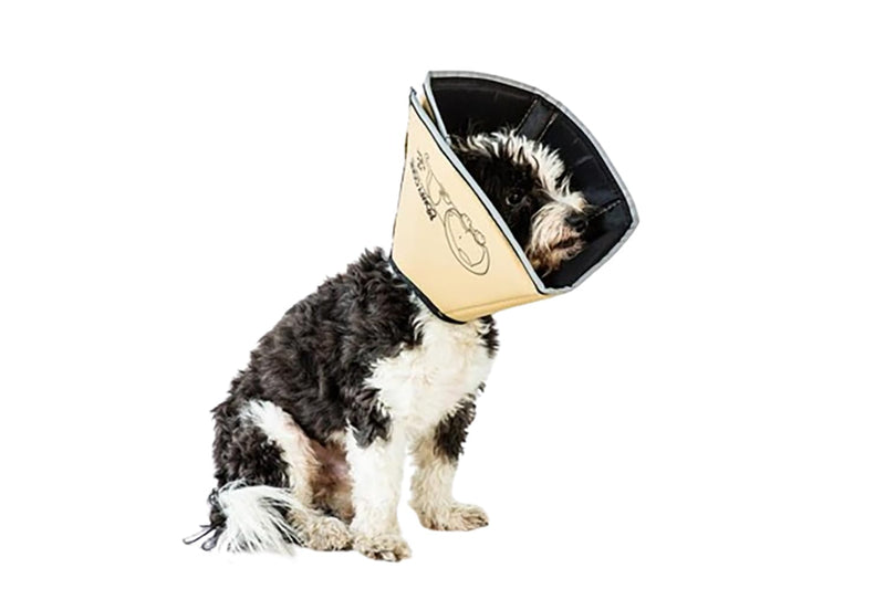 Comfy Cone Pet Cone for Dogs, Cats, Large, Tan - Comfortable Soft Dog Cone Collar Alternative for After Surgery, Wound Care, Spay, Neuter - Dog and Cat Recovery Elizabethan-Collar L(Neck to Nose 10") - PawsPlanet Australia