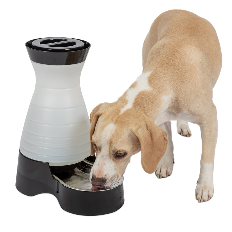 PetSafe Healthy Pet Water Station - Medium, 128 oz Capacity - Gravity Pet Water Fountain, Automatic Cat Water Fountain, Dog Water Fountain, Water Dispenser - Removable Stainless Steel Bowl Included Waterer - PawsPlanet Australia