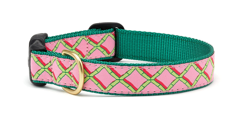 Up Country Coral Gables Dog Collar, X-Small (6 to 12 inches) 5/8 inch Narrow Width - PawsPlanet Australia