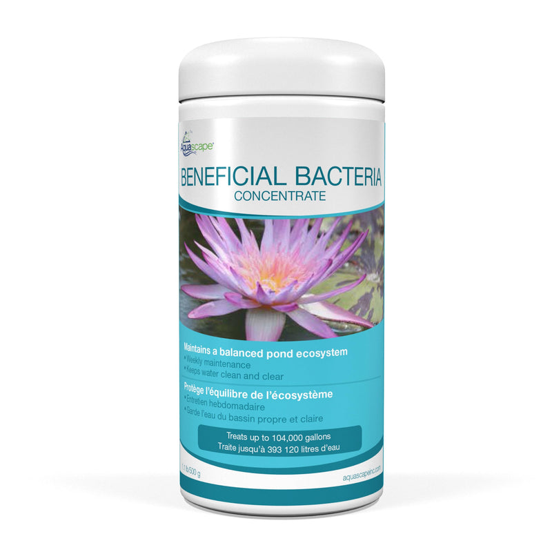 Aquascape Beneficial Bacteria Concentrate for Pond and Water Features, 1.1-Pound, 98949 1.1 lb - PawsPlanet Australia