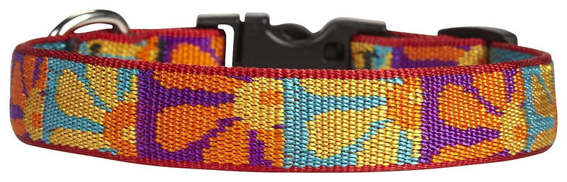 LupinePet Originals 3/4" Crazy Daisy 9-14" Adjustable Collar for Small Dogs 3/4'W; 9-14" Neck - PawsPlanet Australia