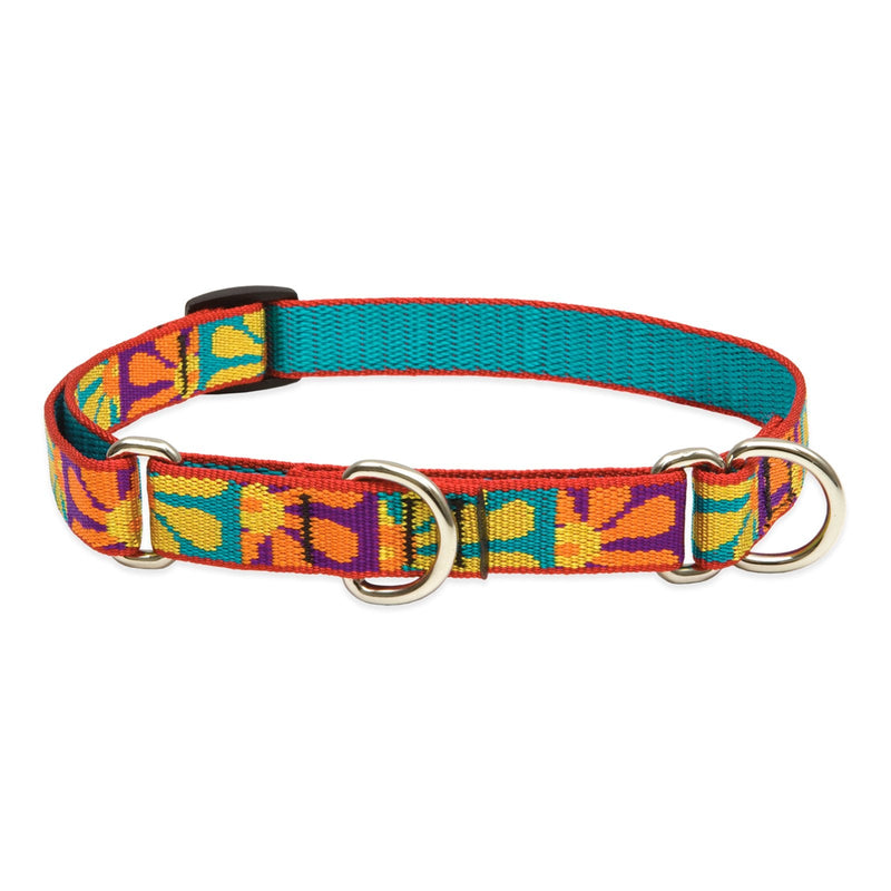 LupinePet Originals 3/4" Crazy Daisy 10-14" Martingale Collar for Small Dogs 3/4"W; 10-14" Neck - PawsPlanet Australia