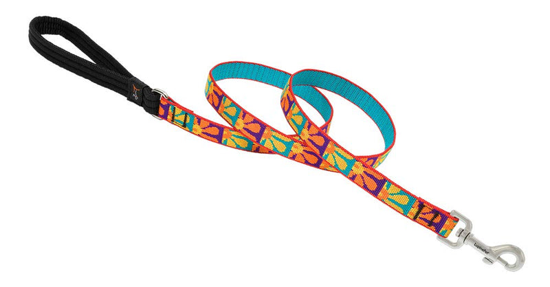 LupinePet Originals 3/4" Crazy Daisy 6-Foot Padded Handle Leash for Medium and Larger Dogs Medium (Pack of 1) - PawsPlanet Australia