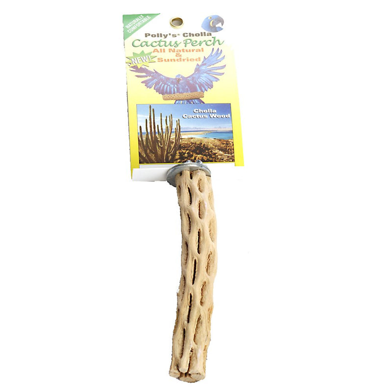Polly's Cholla Cactus Bird Perch, Small - PawsPlanet Australia