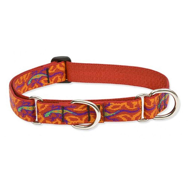 LupinePet Originals 1" Go Go Gecko 15-22" Martingale Collar for Medium and Larger Dogs 1"W; 15-22" Neck - PawsPlanet Australia