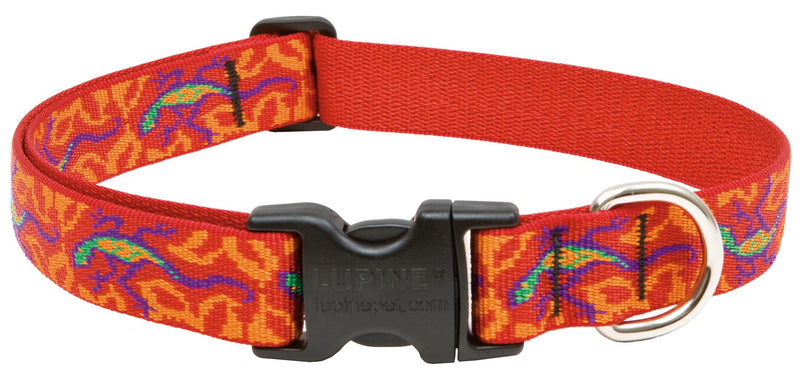 LupinePet Originals 1" Go Go Gecko 12-20" Adjustable Collar for Medium and Larger Dogs - PawsPlanet Australia