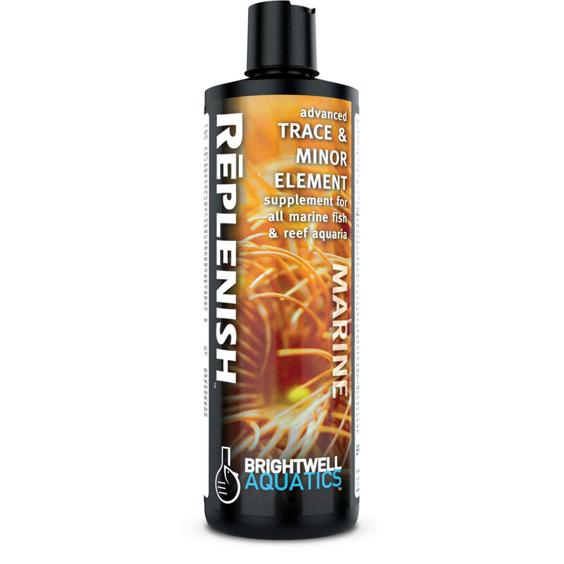 Brightwell Aquatics Rēplenish – Premium Trace & Minor Element Supplement for Marine Aquariums, Supports Healthy Fish, Corals, and Invertebrates, 250 ml 250-ml - PawsPlanet Australia