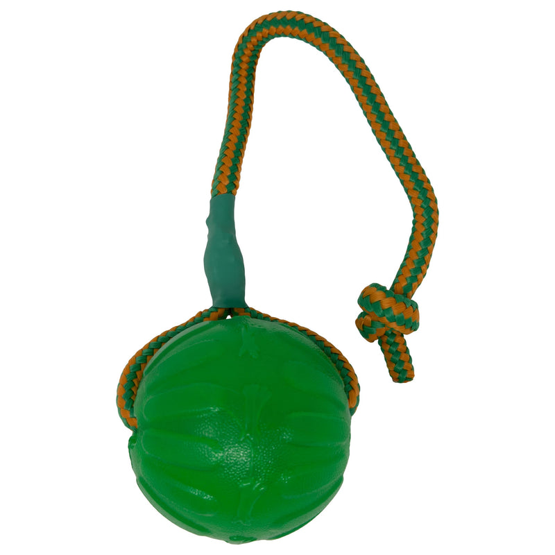 Starmark Everlasting Fun Ball on a Rope Dog Toy,Greens,Medium/Large - PawsPlanet Australia