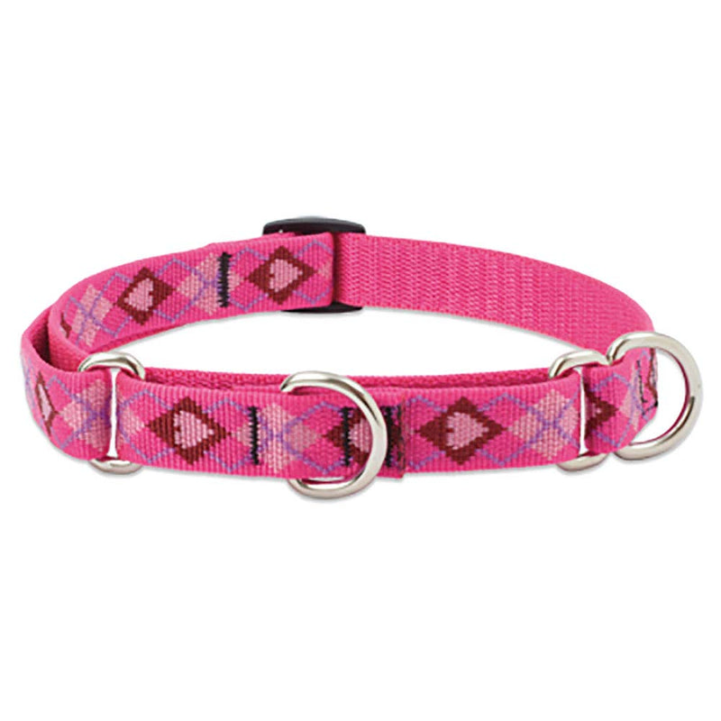 LupinePet Originals 1" Puppy Love 19-27" Martingale Collar for Large Dogs 1"W; 19-27" Neck