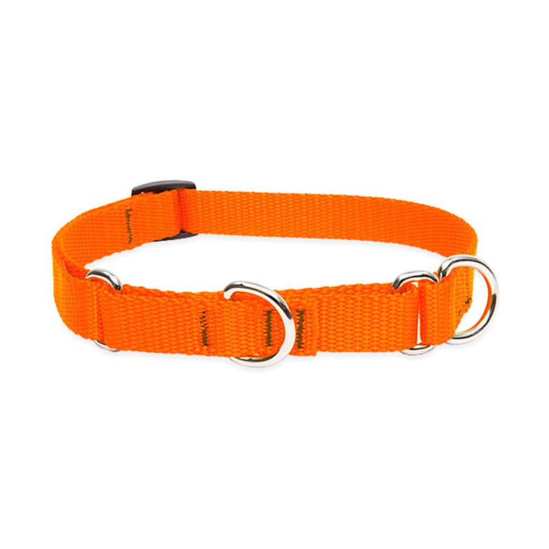 LupinePet Basics 3/4" Blaze Orange 14-20" Martingale Collar for Medium and Larger Dogs 3/4"W; 14-20"Neck - PawsPlanet Australia