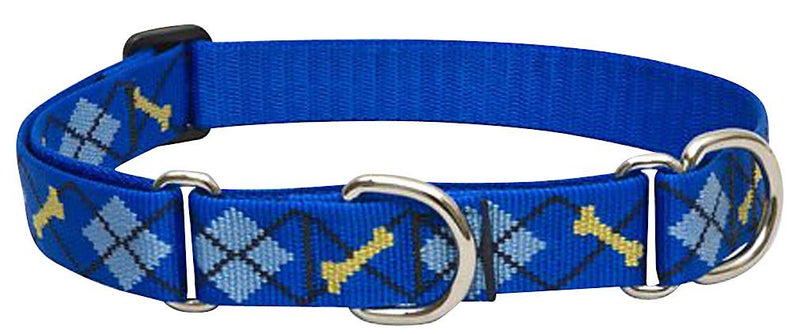 LupinePet Originals 1" Dapper Dog 15-22" Martingale Collar for Medium and Larger Dogs 1"W; 15-22" Neck - PawsPlanet Australia