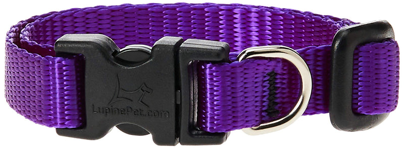 LupinePet Basics 1/2" Purple 8-12" Adjustable Collar for Small Dogs 1/2" by 8"-12" Adjustable Collar - PawsPlanet Australia