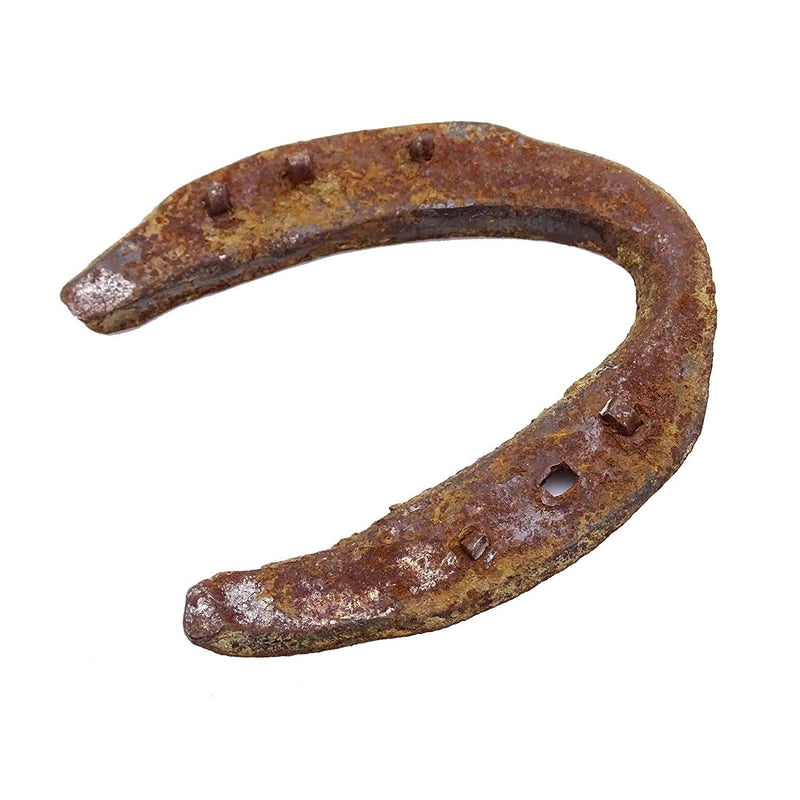 Lucky Horseshoe Used - PawsPlanet Australia