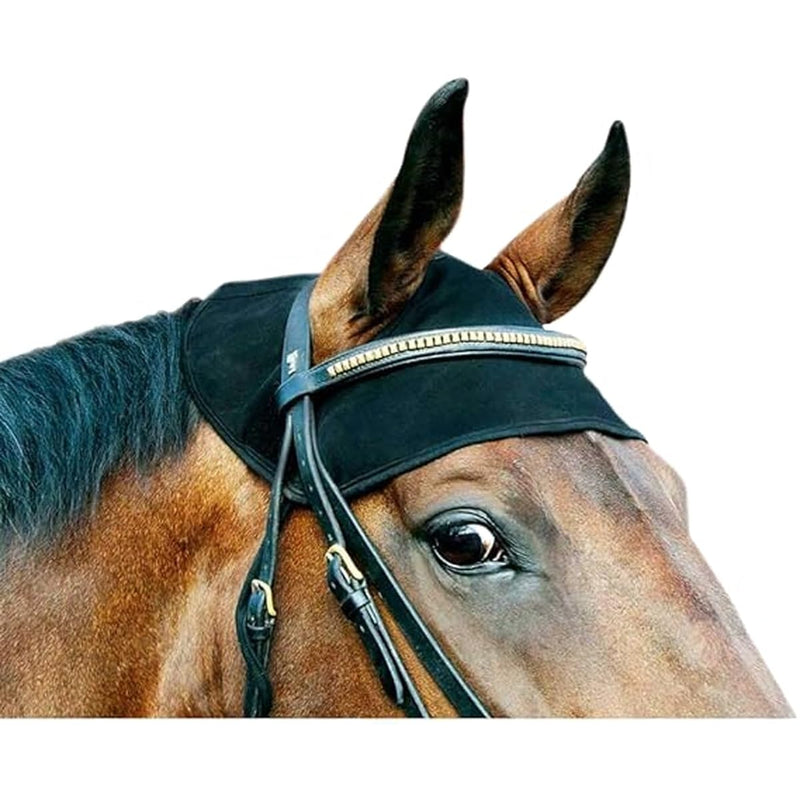 Back on Track Halter Large Black - PawsPlanet Australia