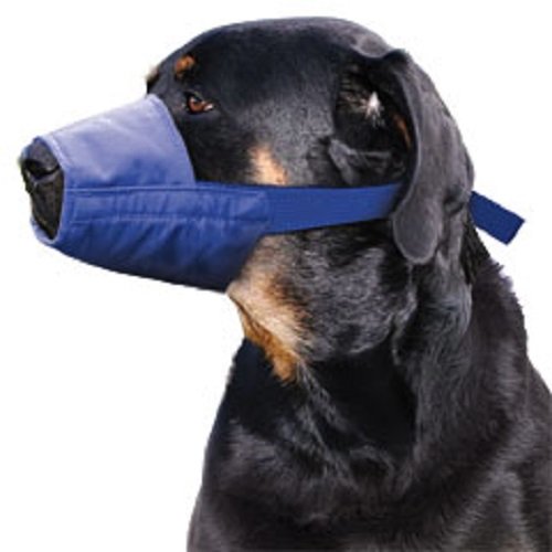 Four Flags Quick Muzzle, XXL, Blue X-Large-XX-Large - PawsPlanet Australia