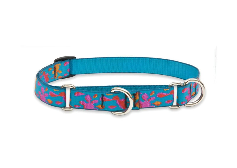 LupinePet Originals 3/4" Wet Paint 10-14" Martingale Collar for Small Dogs 3/4" by 10"-14" Combo Collar - PawsPlanet Australia