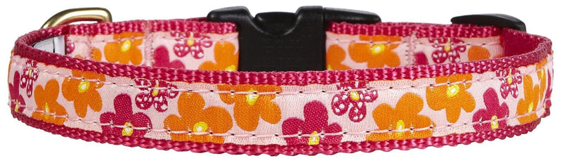 Up Country Flower Power Collar - Medium - PawsPlanet Australia