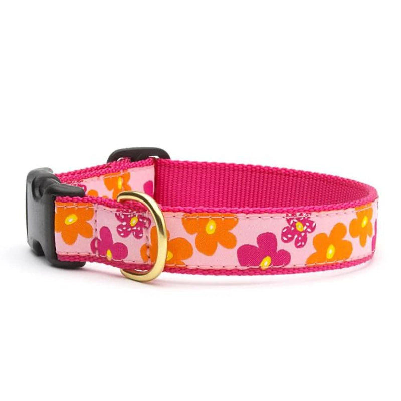 Up Country Flower Power Collar - Large - PawsPlanet Australia