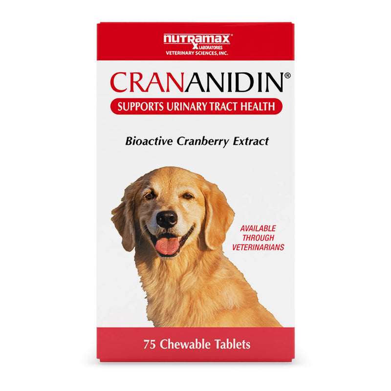 Nutramax Laboratories Crananidin Cranberry Extract Urinary Tract Health Supplement for Dogs, 75 Chewable Tablets 75 Count - PawsPlanet Australia
