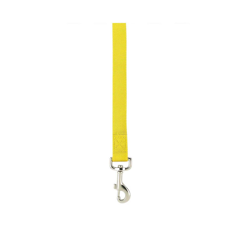 Zack & Zoey Basic Nylon Dog Leash, 6-Feet x 1-Inch Lead, Yellow - PawsPlanet Australia