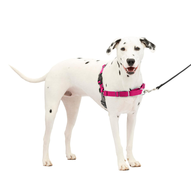 PetSafe Easy Walk No-Pull Dog Harness - The Ultimate Harness to Help Stop Pulling - Take Control & Teach Better Leash Manners - Helps Prevent Pets Pulling on Walks, Medium/Large, Raspberry/Gray - PawsPlanet Australia