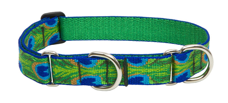 LupinePet Originals 1" Tail Feathers 19-27" Martingale Collar for Large Dogs 1"W; 19-27" Neck - PawsPlanet Australia