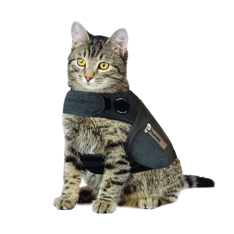 Thundershirt Classic Cat Anxiety Jacket, Heather Gray, Medium (9 to 13 lbs), THU-009 Medium (9 to 13 lbs) - PawsPlanet Australia