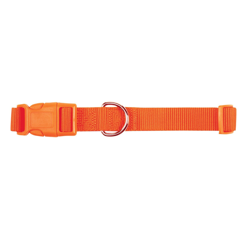 Zack & Zoey ⅜" Wide Nylon Dog Collar, Fits Necks 6" to 10", Orange - PawsPlanet Australia