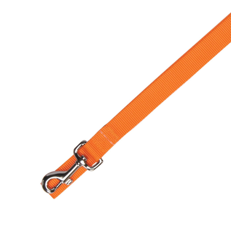 Zack & Zoey Basic Nylon Dog Leash, 4-Feet x 5/8-Inch Lead, Orange - PawsPlanet Australia