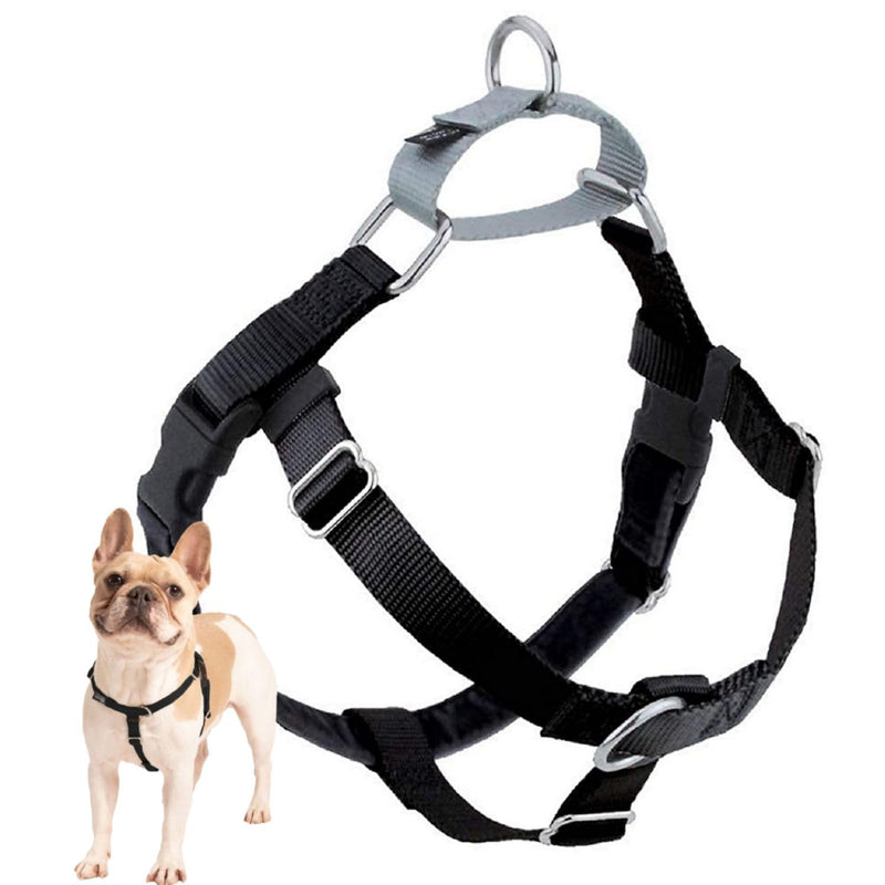2 Hounds Design Freedom No Pull Dog Harness, Adjustable Harness, Easy Walking & Comfortable Control, Fits Small, Medium & Large Dogs, Solid Colors, Made in USA, 1" LG, Black LG (Chest 28" - 32") - PawsPlanet Australia
