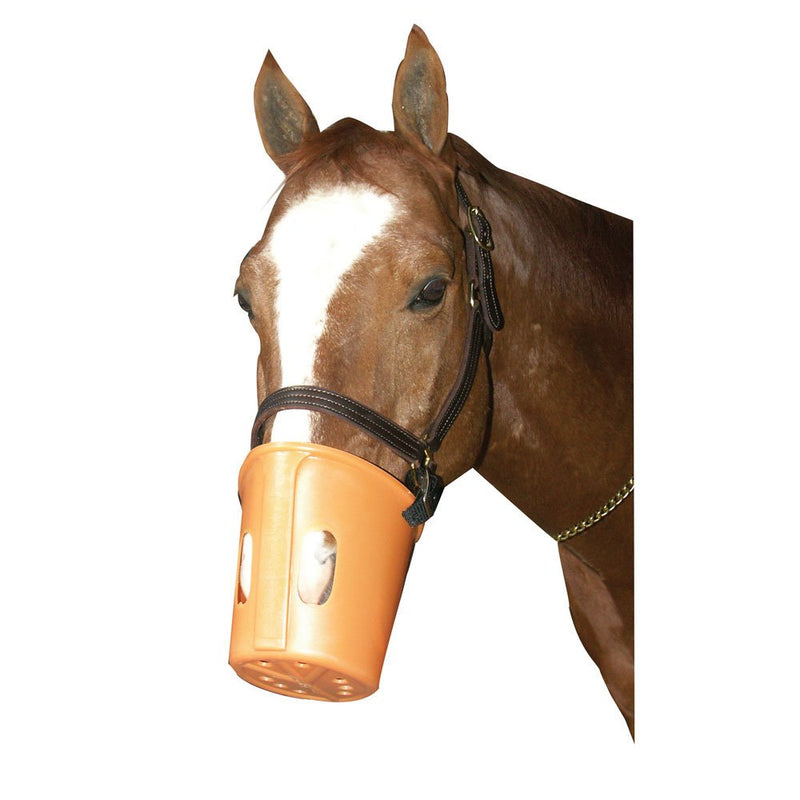 Intrepid International Plastic Horse Muzzle - Lightweight, Adjustable, and Safe Equine Muzzle to Prevent Chewing, Cribbing, and Overeating - Ventilated Design for Comfort - PawsPlanet Australia