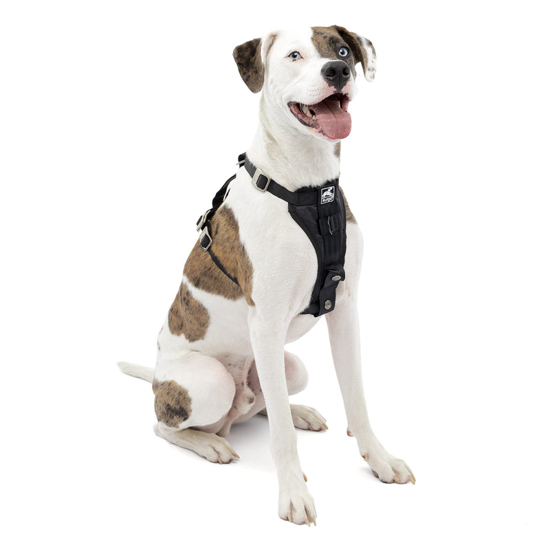 Kurgo Tru-Fit Enhanced Strength Dog Harness - Crash Tested Car Safety Harness for Dogs, No Pull Dog Harness, Includes Pet Safety Seat Belt (Black, Medium) Crash Tested Certified Buckles Medium (Pack of 1) Black - PawsPlanet Australia