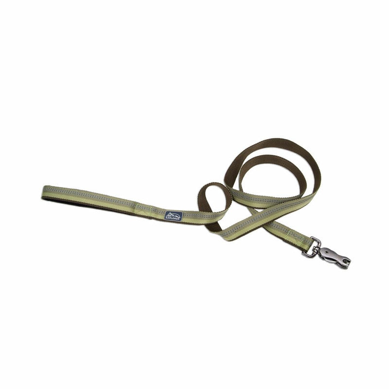 Coastal Pet K9 Explorer Reflective Dog Leash with Scissor Snap - Durable Nylon Leash - Leashes for Dogs & Puppies - Pet Supplies for Dogs - Fern, 1" x 6' 1" x 6' (Pack of 1) - PawsPlanet Australia