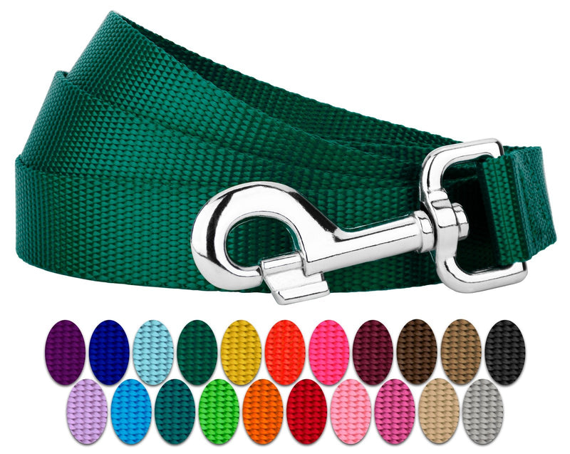 Country Brook Petz 1" Wide Heavy-Duty Nylon Leash for Dogs - Traditional Style Durable Leash with Easy-to-Use Snap - Made in The USA, Green, 6 Foot 6 Foot X 1 Inch Wide (Pack of 1) - PawsPlanet Australia
