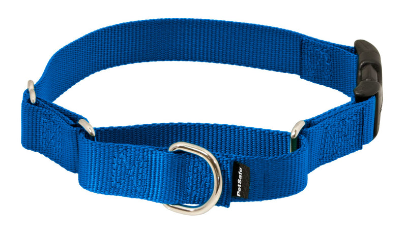 PetSafe Martingale Collar with Quick Snap Buckle - Humane Gentle Correction for Safer Walks - Adjustable No-Slip Design - Durable Nylon Material - Medium - Royal Blue - PawsPlanet Australia