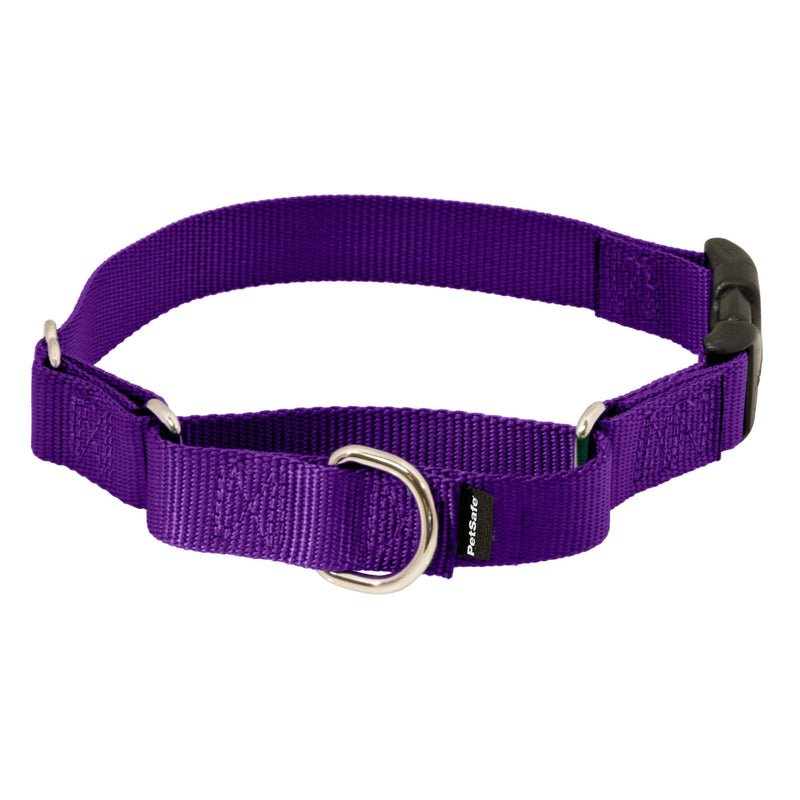PetSafe Adjustable Martingale Collar - Improves Leash Manners - Escape Prevention - Gentle Behavior Training - Durable Nylon - Alternative to Choke Collar - Medium 1" - Deep Purple