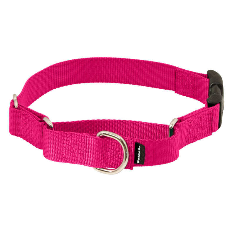 PetSafe Martingale Dog Collar with Quick-Snap Buckle - Large, 1 Inch, Raspberry - PawsPlanet Australia