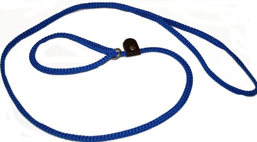 Lone Wolf Slip Lead with Leash and Collar for Pets, 1/4 by 6-Feet, Pacific Blue - PawsPlanet Australia