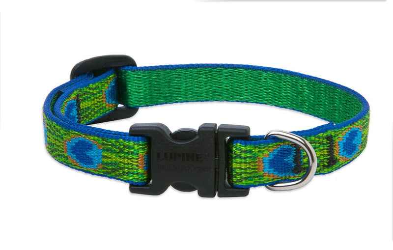 LupinePet Originals 1/2" Tail Feathers 10-16" Adjustable Collar for Small Dogs 1/2"W; 10-16" Neck - PawsPlanet Australia