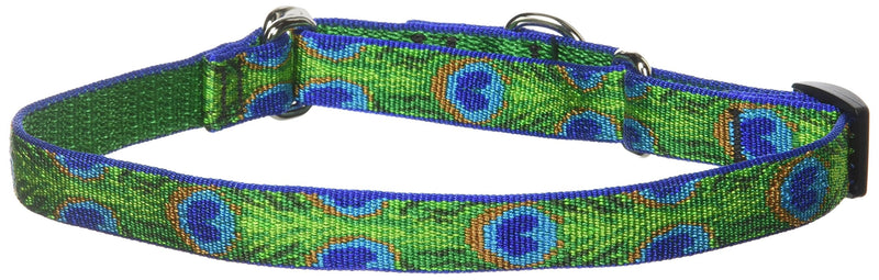 LupinePet Originals 3/4" Tail Feathers 14-20" Martingale Collar for Medium and Larger Dogs 3/4"W; 14-20" Neck - PawsPlanet Australia
