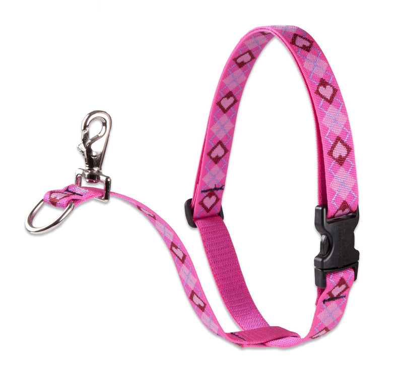 LupinePet Originals 3/4" Puppy Love 16-26" No Pull Harness for Small-Medium Dogs - PawsPlanet Australia