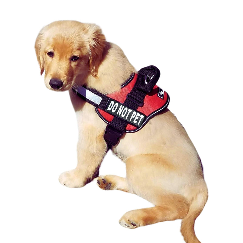 Doggie Stylz Dog Harness with DO NOT PET Patches – No Pull Service Dog Vest and Service Animal Vest for Dogs – Adjustable Gentle Leader for Dogs – Reflective, Heavy-Duty for Training and Walking Girth 19-25" Red - PawsPlanet Australia