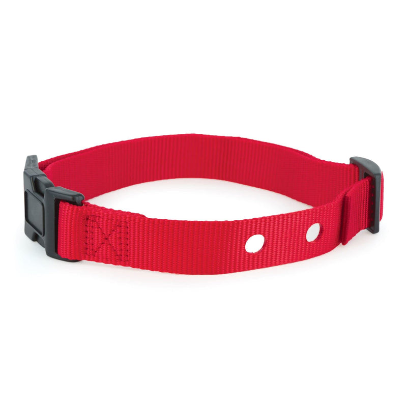 PetSafe Replacement Collar Strap with 2 Holes - Adjustable Design for In-Ground & Wireless Fence Collars - Lightweight Polyester - Secure, Comfortable Fit - PawsPlanet Australia