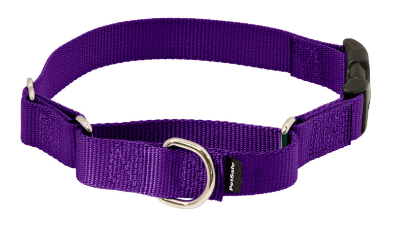 PetSafe Adjustable Martingale Collar - Improves Leash Manners - Escape Prevention - Gentle Behavior Training - Durable Nylon - Alternative to Choke Collar - Petite 3/8" - Deep Purple - PawsPlanet Australia