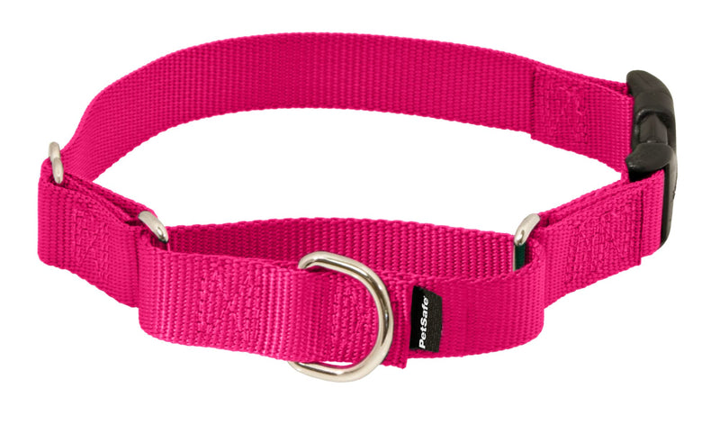 PetSafe Adjustable Martingale Collar - Improves Leash Manners - Escape Prevention - Gentle Behavior Training - Durable Nylon - Alternative to Choke Collar - Petite 3/8" - Raspberry Pink - PawsPlanet Australia