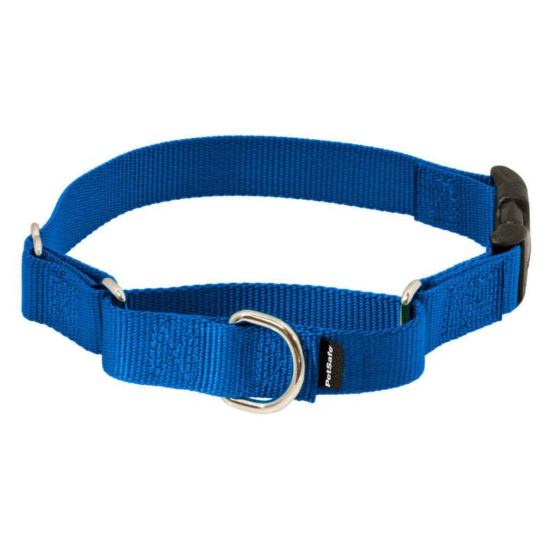 PetSafe Martingale Collar with Quick-Snap Buckle - Adjustable No-Slip Quick Release Dog Collar - Everyday Wear No-Pull Training Aid - 1" Wide - Large - Royal Blue - PawsPlanet Australia