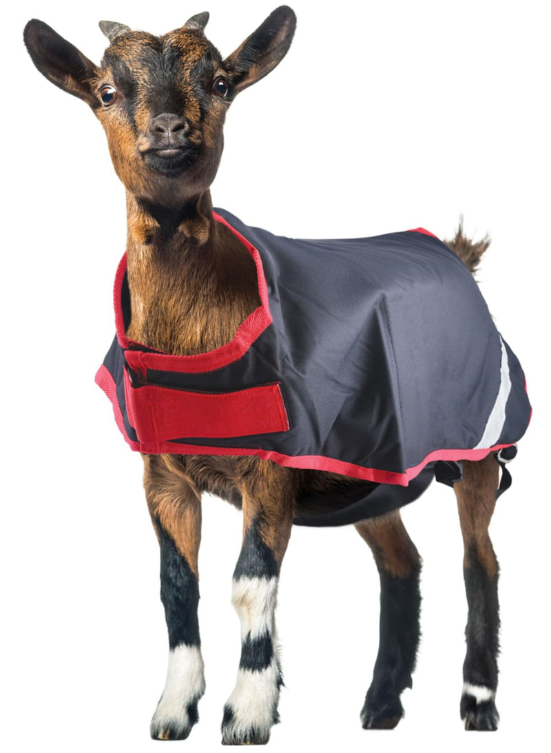 Horseware® Goat Coat (100g Light) Navy/Red Extra Large
